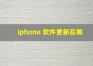 iphone 软件更新在哪